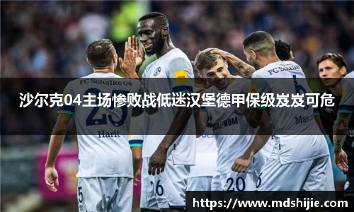 沙尔克04主场惨败战低迷汉堡德甲保级岌岌可危